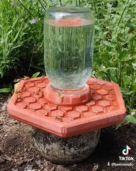 Insect Water Station (parametric) by mosselini1 | Download free STL model | Printables.com