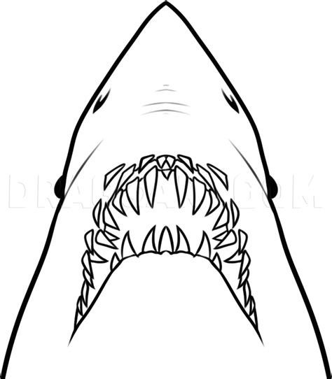 How To Draw Jaws by Dawn | dragoart.com