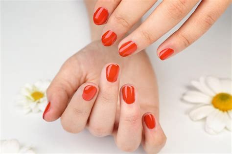 Premium Photo | Nail art concept beautiful female hands with neat manicure