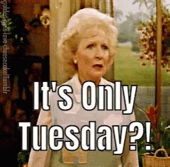 Happy Tuesday GIF by memecandy - Find & Share on GIPHY