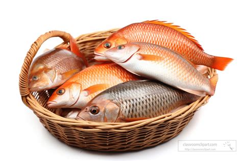 Seafood Photos-raw fish neatly placed in a basket