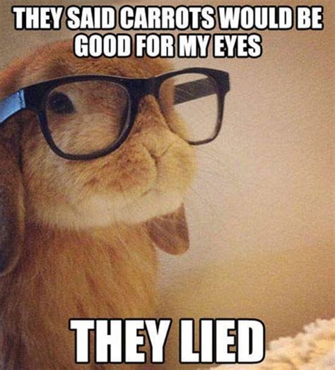 50 Memes About Wearing Glasses That Will Make You Laugh Until Your Eyes ...