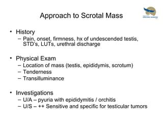 Scrotal masses and Testicular tumors