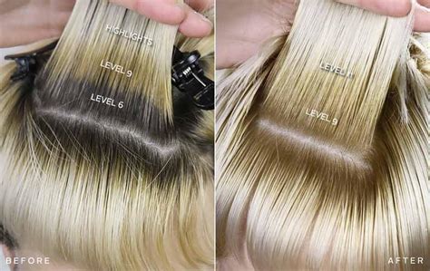 See a Level 6 Medium Brown move to a Level 9 Blonde | Madison Reed Hair ...