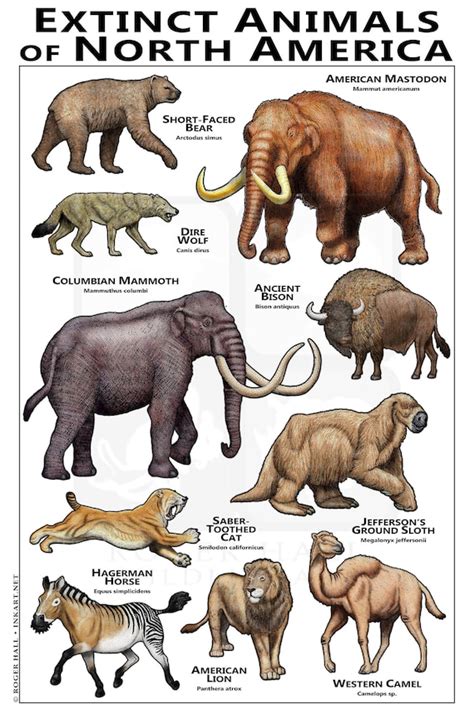 Extinct Animals of North America Poster - Etsy