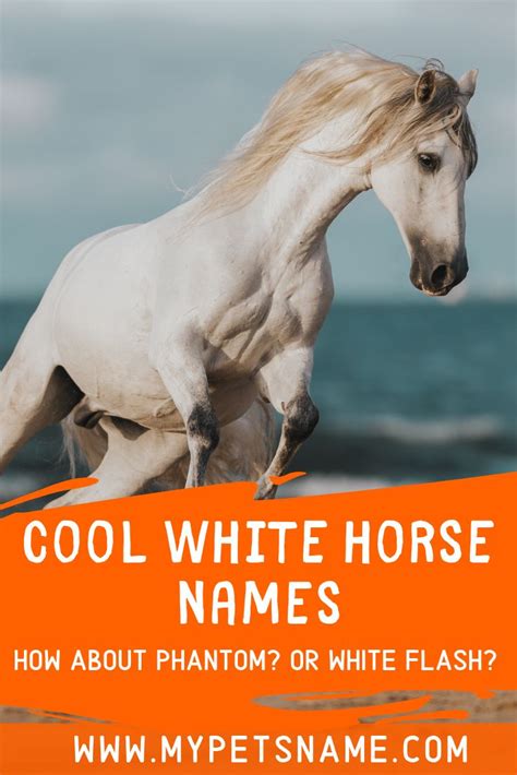 a white horse running on the beach with text that reads cool white horse names how about phantom ...