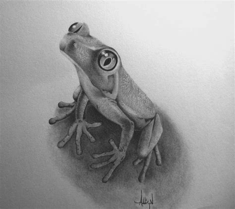 Tree Frog by 5000addy | Frog sketch, Tree frog tattoos, Frog drawing