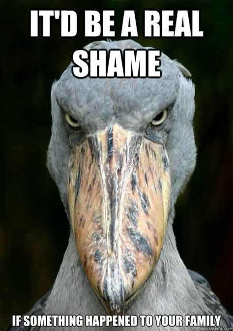 Serious Shoebill Stork memes | quickmeme