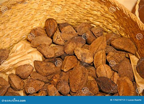 Brown Seed Husks of Plants in Basket Stock Image - Image of eating, ground: 176274713