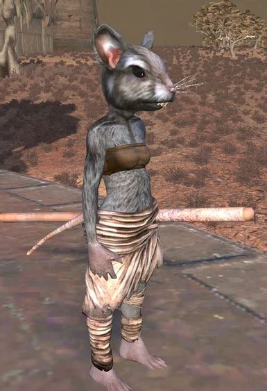 Feline and Rodent Player Races at Kenshi Nexus - Mods and Community