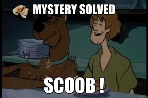 Mystery Solved Scoob ! | Scooby doo memes, Mystery, Solving