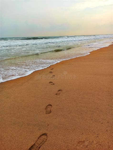 Golden Beach of Puri, Odisha, India Stock Image - Image of puri, mudflat: 260239649