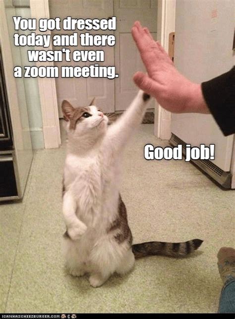 Good job! - Lolcats - lol | cat memes | funny cats | funny cat pictures with words on them ...