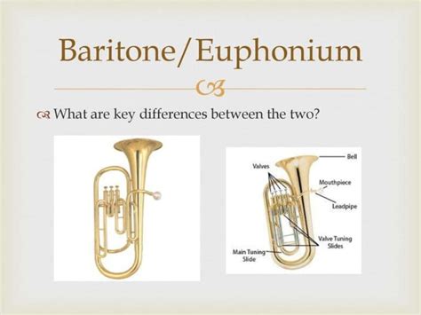 SOLVED! - Difference Between Euphonium and Baritone – Which is Better for Noob?