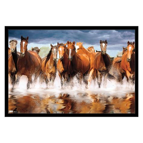 Trends International Horses Wall Poster 22.375" x 34" - Walmart.com - Walmart.com