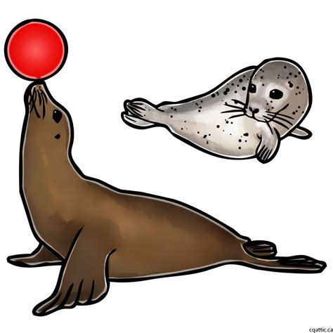 Cartoon Seal Drawing in 4 Steps With Photoshop | Dauphin dessin, Animal imaginaire, Dessin