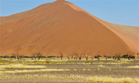 Climate Change Desertification – Impacts on Fragile Ecosystems