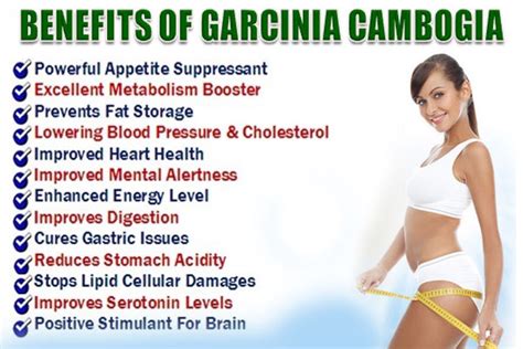 Health Benefits Of Garcinia Cambogia That Causes Weight Loss