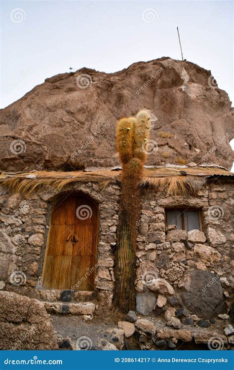 Cactus Island in Salar De Uyuni, Bolivia, Salt Desert Stock Image - Image of withered, tops ...