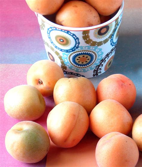 Fresh Apricot Chutney Recipe