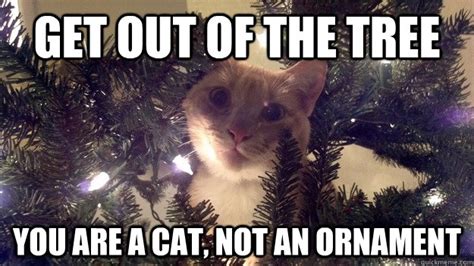 Christmas Tree Cat memes | quickmeme