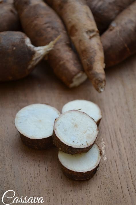 5 Top Benefits Of Cassava (Maravalli Kilangu) - Wildturmeric