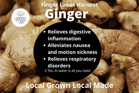 Ginger Shrub - Finger Lakes Harvest