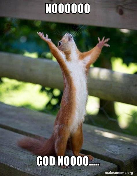 NOOOOOO GOD NOOOO..... - Happy Squirrel Meme Generator