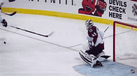 Hockey Gifs (17 gifs)