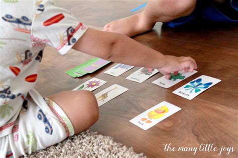 Simplified Matching Game for Toddlers - The Many Little Joys