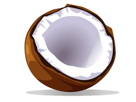 Free Coconut Cliparts, Download Free Coconut Cliparts png images, Free ...