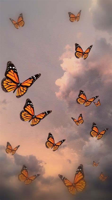 Wallpaper for iPhone/Samsung Butterfly, Sky, butterflies in the sky ...