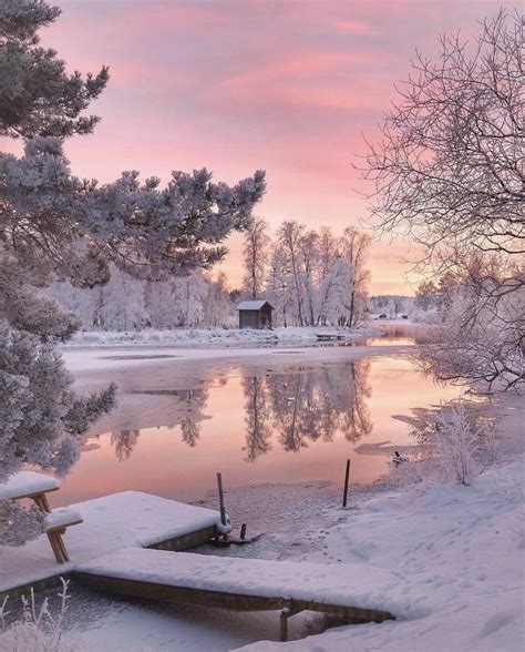 Breathtaking winter sunrise | Imagesocket