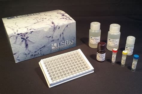 Human GDF15 Quant ELISA Kit | Sandwich | LSBio