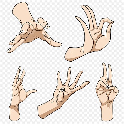 Hand Poses Vector PNG Images, Hand Pose Free Vector, Finger, Gesture, Vector PNG Image For Free ...