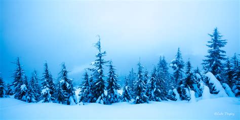 Endless Winter | Mt Hood, OR | Luke Tingley Photography