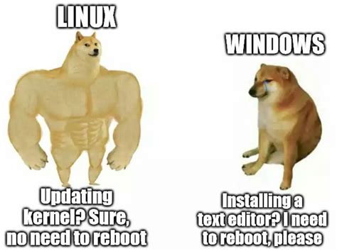 Proud to be a Linux user. : r/linuxmemes