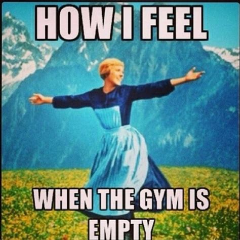 This euphoria: | Gym memes funny, Workout memes, Workout humor