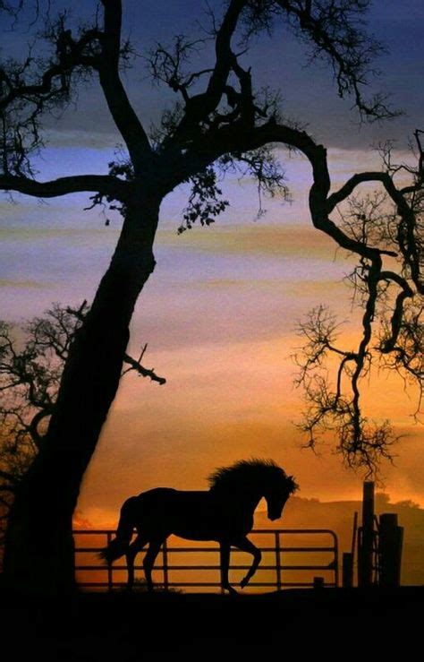 46 Animal silhouette painting ideas | silhouette painting, animal silhouette, animals beautiful