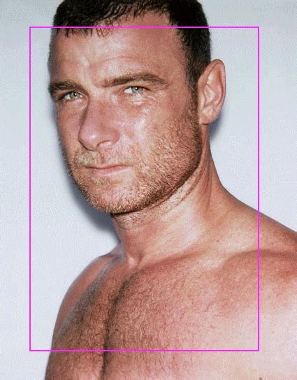 Ray Donovan, Liev Schreiber, Personal Quotes, Perfect Man, X Men, Portrait Tattoo, Crushes ...