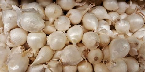 Free Images : white, food, harvest, ingredient, garlic, produce ...