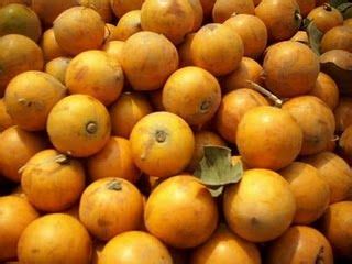 #glossary: Udara. 'His mouth tasted like udara fruit, sweet and rich ...