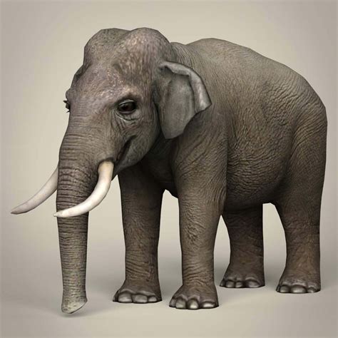 Elephant - 3D Model by TreeWorld3d
