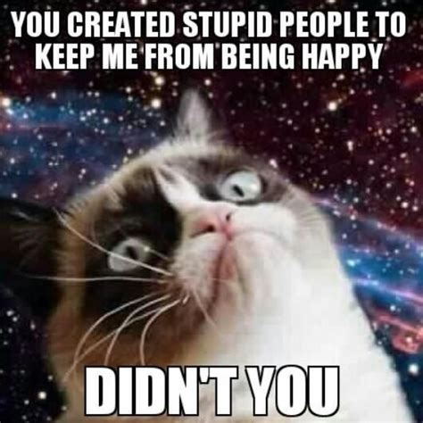 grumpy cat quotes - Google Search | Grumpy cat humor, Grumpy cat ...