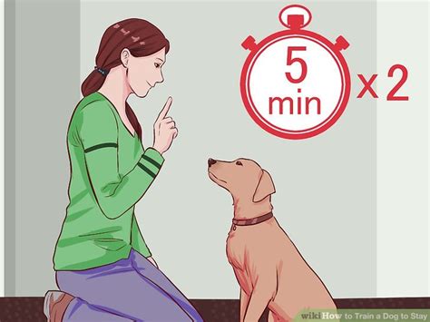 How to Train a Dog to Stay (with Pictures)