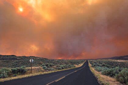 Tips for Creating a Wildfire Evacuation Plan