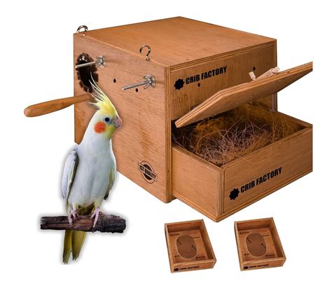 Cockatiel Bird Breeding Box at Rs 1499/piece | Wooden Bird House in Neyyattinkara | ID ...