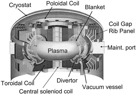 Schematic of coil arrangement for tokamak fusion reactor. (based on... | Download Scientific Diagram