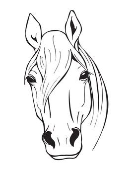 38,764 BEST Outline Of Horse IMAGES, STOCK PHOTOS & VECTORS | Adobe Stock