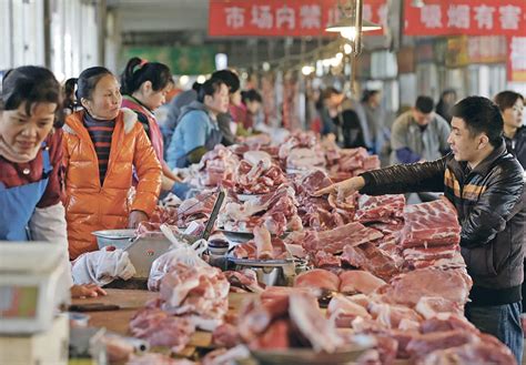 Pakistan Is Expected To Tap Billion Dollars Meat Market Of China